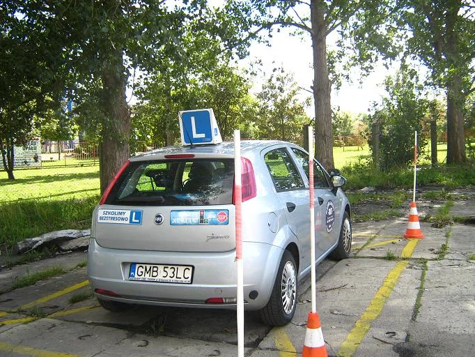 Zdjęcie z galerii